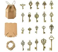 LiQunSweet 20 pcs Antique Bronze Key Theme Alloy Charms Vintage Heart Flower Skeleton Key Charms with Paper Bag Rope for DIY Jewelry Bracelet Necklace Earring Craft Bag Decor