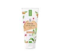 Lirene Power Of Plantis Nourishing Creamy Shower Gel Almond All Skin Types 200ml