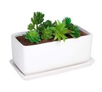 Liry Products 10 inch Rectangular White Ceramic Planter Pot Succulent Cactus Herb Flower Container Window Box Saucer Removable Drip Tray Base Drain Holes Home Office Indoor Outdoor Garden Desktop