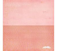 Lisa Illean - Lisa Illean: Arcing, Stilling, Bending, Gathering