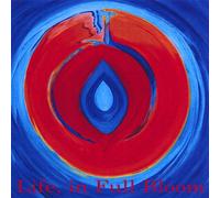 Lisanne - Life in Full Bloom