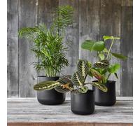 Ivyline Lisbon Planter - Carbon black