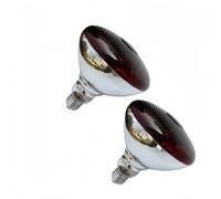 LISOCLU Reptile Heating Lamp Brooder Base E27 220v 100w 150w 200w 250w 275w,Color Temperature 2428k Wavelength 600-1400nm Heating Light Bulbs! 2pcs(200w/B)