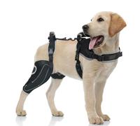 LISPOO Dog Knee Brace for Torn A CL Hind Leg-Right leg-Upgraded/M