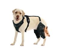 LISPOO Dog Knee Brace for Torn A CL Hind Leg,Torn Ligament, Effective Wrapping and Joint Warmth,Adjustable Support, Pain Relief & Better Recovery - Both Legs/M Size