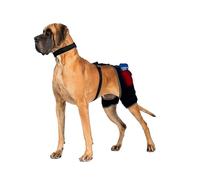 LISPOO Hip Dysplasia Brace for Dogs, Dog Hip Support Brace with Hot & Cold Therapy, 2 Gel Packs Included, Quick-Swap Pocket, Adjustable Stay-Put Support for Arthritis, Stiffness & Swelling XL Size