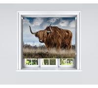 Lister Cartwright Photographic Blackout Roller Blind - (180 x 140 cm) Printed Colourful Roller Blind Easy Fit Window Blind with Child Safety - Bedroom Bathroom Kitchen & Living Room - Highland Cow