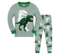 LitBud Older Boys Dinosaur Pajamas Pyjamas Sleepwears 2pcs Long Sleeves Pjs Tops + Pants Sets Nightwear for Toddler Kids Pink UK Size 8-9 Years 9T Thanksgiving Gifts