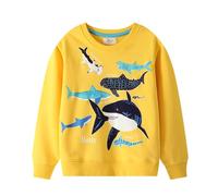LitBud shark Sweatshirts for Boys Kids Toddler Clothes jurassic period Casual Graphic T-Shirt Cotton Top T Shirt Long Sleeve Crewneck Pullover Spring Autumn Winter Grey Size 4-5 Years Old 5T