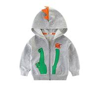 LitBud Toddler Boys Hoody Jacket Cartoon Dinosaur Crocodile Zipper Packaway Spring Hoodies for Kids Size Grey 5-6 Years 6T