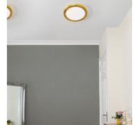 Litecraft Brass Magnetic Bezel For 18W Darly Bathroom Flush Ceiling Light