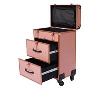 Literature Organizer Professional Rolling Makeup Trolley Case Train Case Box Organizer Salon Cosmetic with Rotation Wheels for Hair Stylist Beauty Nail Technicians (Gold)