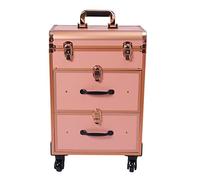 Literature Organizer Rolling Makeup Case Large Cosmetic Makeup Traveling Case Makeup Trolley Cosmetics Storage Organizer Make up Case (Gold)