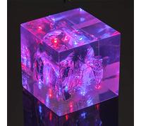 Litescape"Litecube" LED Mood Lamp Blue/Red Made from Clear Resin with 6 LED Bulbs Inside Ideal for a Night Light or to add a Feature in a Room Height 10cm x Width 10cm Length 10cm