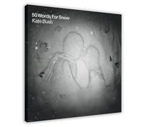 LITGY Kate Bush 50 Words for Snow Album Cover Music Poster Canvas Posters Frame-style 16x16inch(40x40cm)