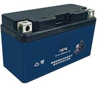 Lithium Battery LiFePO4 12.8V 4Ah 5 7 9 15 20 30 for Starter Motorcycles, ATVs, Jet Skis, Lawn Mowers Scooters