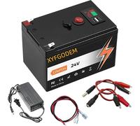 Lithium Iron Phosphate Battery 24V, 8Ah, 10Ah 12Ah, Portable Outdoor Replacement Batteries with USB Charger for Solar Panels/Off-Grid Applications
