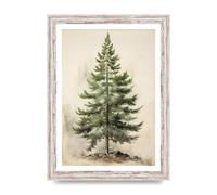 Lithobee - Evergreen pine tree illustration Home Wall Art Prints in Sizes A2, A3 & A4 Framed in a Stylish Quality Coloured Frame or Unframed - A4 White Distressed Frame