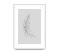 Lithobee - Feather Grey 2 - Printed Wall Art Design in Sizes A2, A3 & A4 Framed in a Stylish Quality Coloured Frame or Unframed (A2 White Ornate Frame)