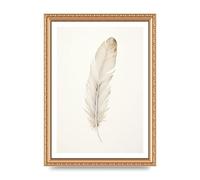 Lithobee - Feather Illustration Art Print Home Wall Art Prints in Sizes A2, A3 & A4 Framed in a Stylish Quality Coloured Frame or Unframed - A4 Gold Ornate Frame
