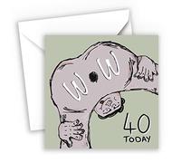 Lithobee Funny 40th Birthday Card - Hilarious and Irreverent Humour with Unique Design - Perfect Idea for a Friend or Family Member - Made in the UK