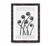 Lithobee - Karl Blossfeldt Urformen Der Kunst 1928 Adiantum Pedatum American Maiden Hair Fern - Printed Art Design Size A2, A3 & A4 Framed or Unframed (A4 Brown Distressed Frame)