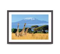 Lithobee - Three Giraffes In National Park Of Kenya - Printed Wall Art Design in Sizes A2, A3 & A4 Framed in a Stylish Quality Coloured Frame or Unframed (A3 Black Grain Frame)