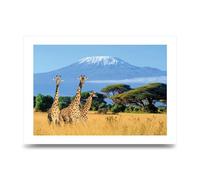 Lithobee - Three Giraffes In National Park Of Kenya - Printed Wall Art Design in Sizes A2, A3 & A4 Framed in a Stylish Quality Coloured Frame or Unframed (A3 Unframed)