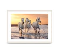 Lithobee - White Horses On A Beach Camargue France - Printed Wall Art Design in Sizes A2, A3 & A4 Framed in a Stylish Quality Coloured Frame or Unframed (A2 White Grain Frame)