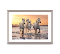 Lithobee - White Horses On A Beach Camargue France - Printed Wall Art Design in Sizes A2, A3 & A4 Framed in a Stylish Quality Coloured Frame or Unframed (A3 Silver Abraded Frame)