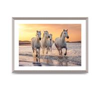 Lithobee - White Horses On A Beach Camargue France - Printed Wall Art Design in Sizes A2, A3 & A4 Framed in a Stylish Quality Coloured Frame or Unframed (A2 Silver Abraded Frame)