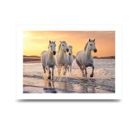 Lithobee - White Horses On A Beach Camargue France - Printed Wall Art Design in Sizes A2, A3 & A4 Framed in a Stylish Quality Coloured Frame or Unframed (A3 Unframed)