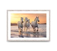 Lithobee - White Horses On A Beach Camargue France - Printed Wall Art Design in Sizes A2, A3 & A4 Framed in a Stylish Quality Coloured Frame or Unframed (A2 White Distressed Frame)