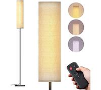 Lithomy Floor Lamp, 12W LED Lamp for Bedroom with 4 Color Temperatures & Night Light Mode, Remote Control Standing Lamp with Timer, Stepless Dimming Reading Light Floor Lamps for Living Room, Office