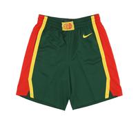 Lithuania Basketball Team Shorts Green/Red - male - Nike - Training - Multicolor - S - Sport S