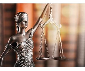 Litigation and the American Legal System