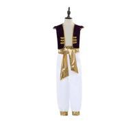 Lito Angels Desert Prince Arabian Costume for Boys, Age 10-11 Years, Purple