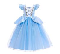 Lito Angels Princess Cinderella Fancy Dress Up Costume Party Ball Gown for Kids Girls Age 2-3 Years, Blue (Tag Number 100)