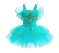 Lito Angels Princess Jasmine Ballerina Costume Ballet Leotard with Tutu Dress for Kids Girls, Fancy Dance Wear Outfit Age 5-6 Years (Tag Number 120)