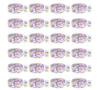 litogo 24 Pack Fairy Lights Battery Operated with Timer, 3 Modes String Lights Battery Powered, 2M 20 LED Waterproof Silver Wrie Small Fairy Lights Indoor for Jars Vases Party Christmas, Multicolour
