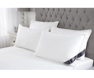 Littens 4 Pack Natural Goose Feather & Down Pillows, 230TC Cotton Case, Down Proof, Piped Edge