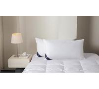 Littens 50cm x 100cm Luxury Emperor Size White Duck Feather & Down Pair Pillows 230TC Down-Proof Cotton, Piped Edge, Long (20" x 40")