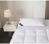 Littens Extra Filled 50cm x 90cm Luxury Super King Size White Duck Feather & Down Pillow 230TC 100% Cotton Casing, Down Proof (20" x 36")