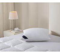 Littens Extra Filled 65cm x 65cm Luxury European Continental White Duck Feather & Down Square Pillow 230TC 100% Cotton Casing, Down Proof (26" x 26")