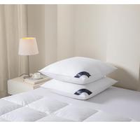 Littens Luxury European Continental 80cm x 80cm Large Square White Duck Feather & Down Pair Pillows 230TC 100% Cotton Casing, Down Proof (32" x 32")