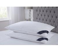 Littens Pair Emperor Size Duck Feather & Down Pillows, Cotton 50Cm X 100Cm (20" X 40")
