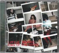 Little Barrie - King Of The Waves