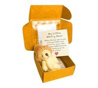 Little Bear in a Box, Boxed Bears, Mini Plush Bears with Inspirational Cards, Christmas, Valentine's Day and Mother's Day Sympathy Gifts, Cute Desk Accessories (B)