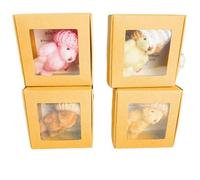 Little Bear in a Box, Boxed Bears, Mini Plush Bears with Inspirational Cards, Christmas, Valentine's Day and Mother's Day Sympathy Gifts, Cute Desk Accessories (E)