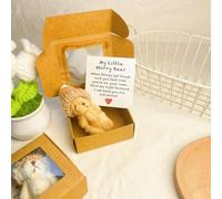 Little Bear in Box, 2025 New Handmade Mini Plush Inspirational Worry Bear with Message Card, My Little Worry Bears, Bring Smiles & Sense of Warmth, Heartfelt Keepsake for Family Events (Brown)